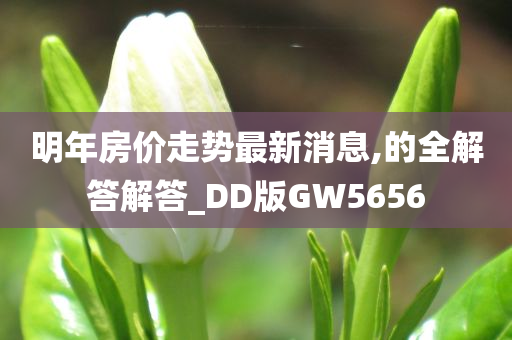 明年房价走势最新消息,的全解答解答_DD版GW5656