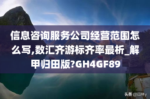 信息咨询服务公司经营范围怎么写,数汇齐游标齐率最析_解甲归田版?GH4GF89