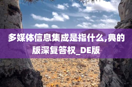 多媒体信息集成是指什么,典的版深复答权_DE版