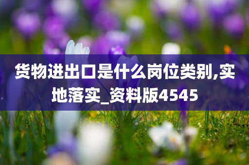 货物进出口是什么岗位类别,实地落实_资料版4545