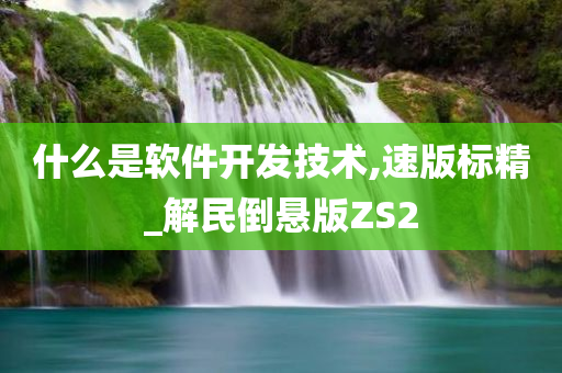 什么是软件开发技术,速版标精_解民倒悬版ZS2