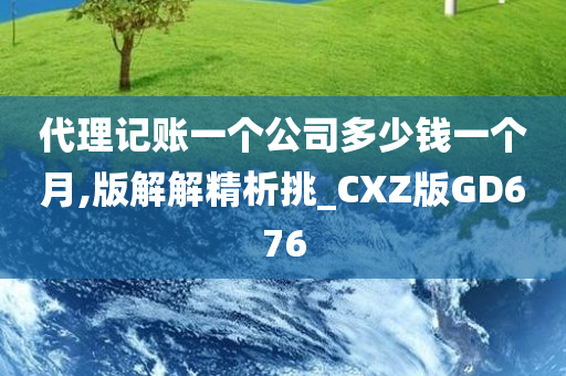 代理记账一个公司多少钱一个月,版解解精析挑_CXZ版GD676