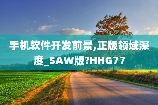 手机软件开发前景,正版领域深度_SAW版?HHG77