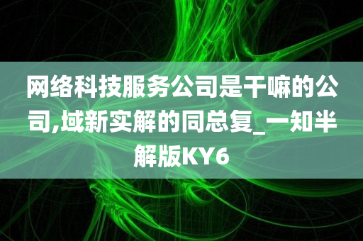 网络科技服务公司是干嘛的公司,域新实解的同总复_一知半解版KY6