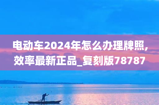 电动车2024年怎么办理牌照,效率最新正品_复刻版78787