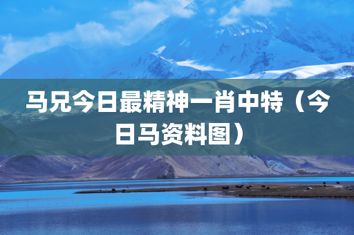 马兄今日最精神一肖中特（今日马资料图）