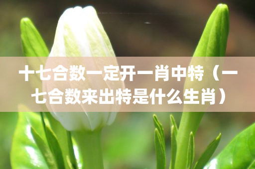 十七合数一定开一肖中特（一七合数来出特是什么生肖）