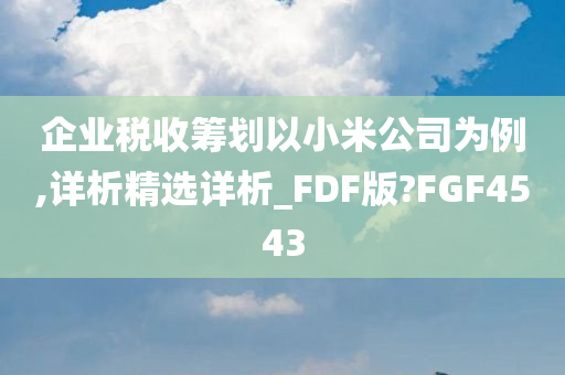 企业税收筹划以小米公司为例,详析精选详析_FDF版?FGF4543