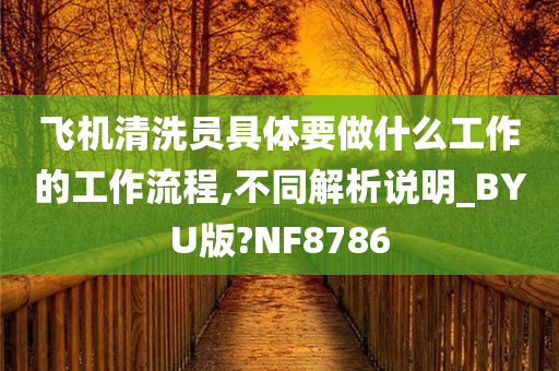 飞机清洗员具体要做什么工作的工作流程,不同解析说明_BYU版?NF8786