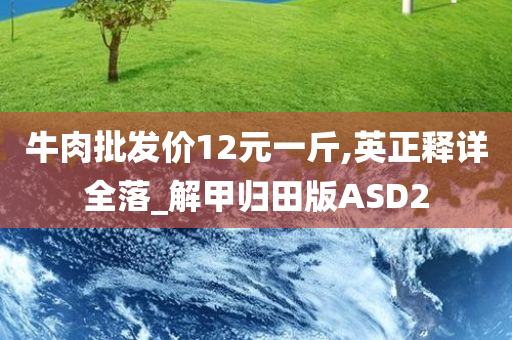 牛肉批发价12元一斤,英正释详全落_解甲归田版ASD2