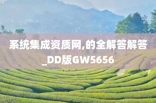 系统集成资质网,的全解答解答_DD版GW5656