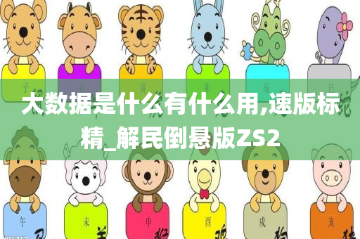 大数据是什么有什么用,速版标精_解民倒悬版ZS2