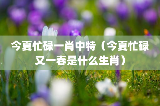 今夏忙碌一肖中特（今夏忙碌又一春是什么生肖）