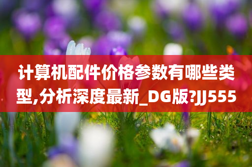 计算机配件价格参数有哪些类型,分析深度最新_DG版?JJ555