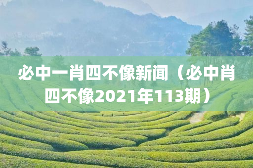 必中一肖四不像新闻（必中肖四不像2021年113期）