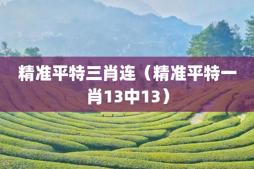 精准平特三肖连（精准平特一肖13中13）