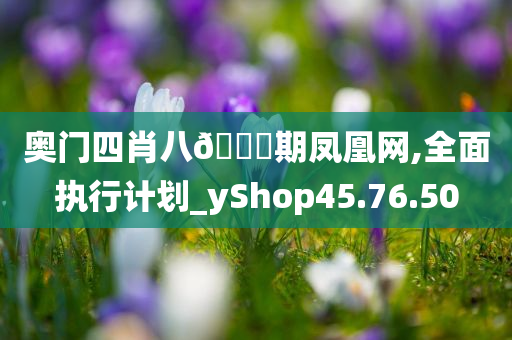 奥门四肖八🐎期凤凰网,全面执行计划_yShop45.76.50