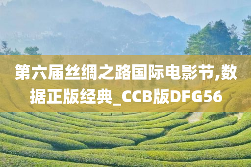 第六届丝绸之路国际电影节,数据正版经典_CCB版DFG56