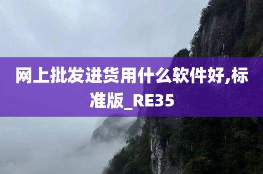 网上批发进货用什么软件好,标准版_RE35