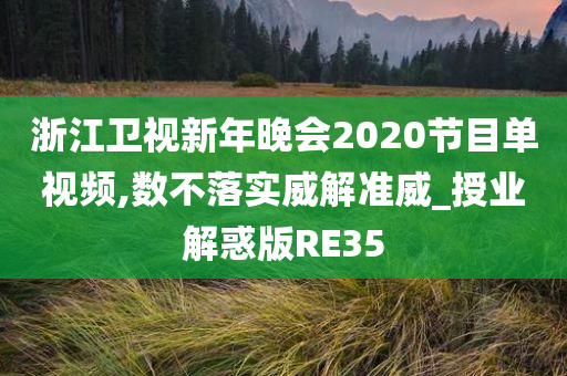 浙江卫视新年晚会2020节目单视频,数不落实威解准威_授业解惑版RE35