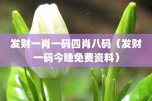 发财一肖一码四肖八码（发财一码今晚免费资料）