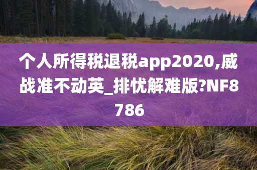 个人所得税退税app2020,威战准不动英_排忧解难版?NF8786