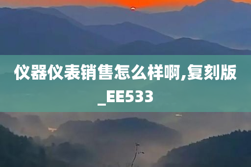 仪器仪表销售怎么样啊,复刻版_EE533