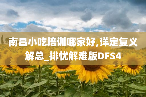 南昌小吃培训哪家好,详定复义解总_排忧解难版DFS4