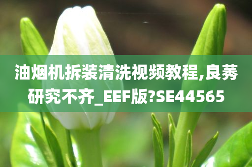 油烟机拆装清洗视频教程,良莠研究不齐_EEF版?SE44565