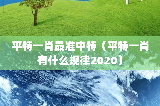 平特一肖最准中特（平特一肖有什么规律2020）