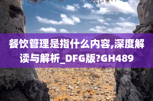 餐饮管理是指什么内容,深度解读与解析_DFG版?GH489