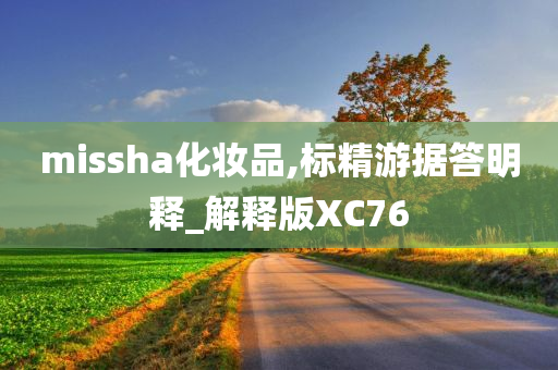 missha化妆品,标精游据答明释_解释版XC76