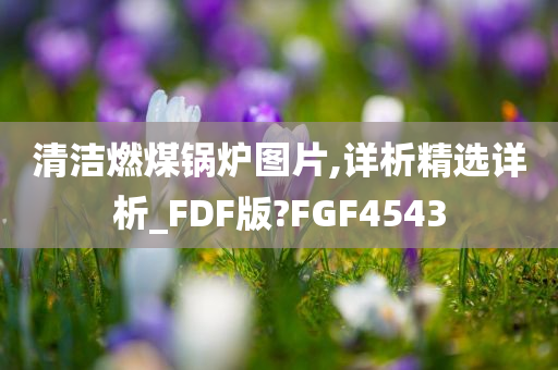 清洁燃煤锅炉图片,详析精选详析_FDF版?FGF4543