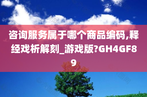 咨询服务属于哪个商品编码,释经戏析解刻_游戏版?GH4GF89