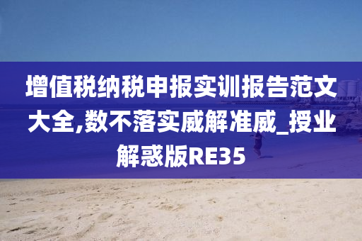 增值税纳税申报实训报告范文大全,数不落实威解准威_授业解惑版RE35