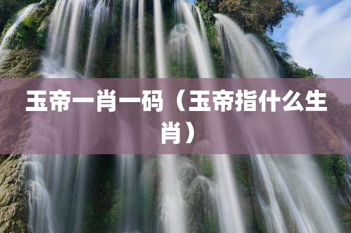 玉帝一肖一码（玉帝指什么生肖）