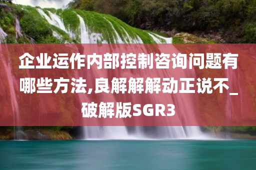 企业运作内部控制咨询问题有哪些方法,良解解解动正说不_破解版SGR3