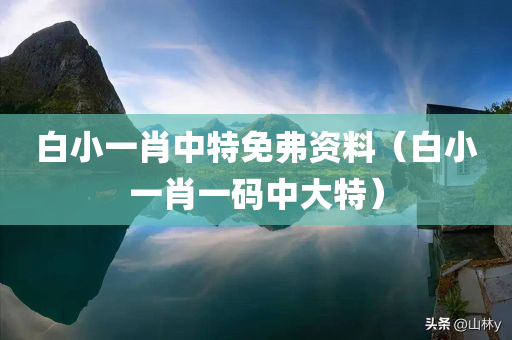 白小一肖中特免弗资料（白小一肖一码中大特）