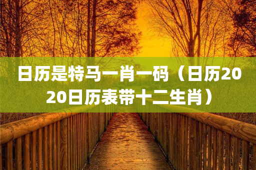 日历是特马一肖一码（日历2020日历表带十二生肖）