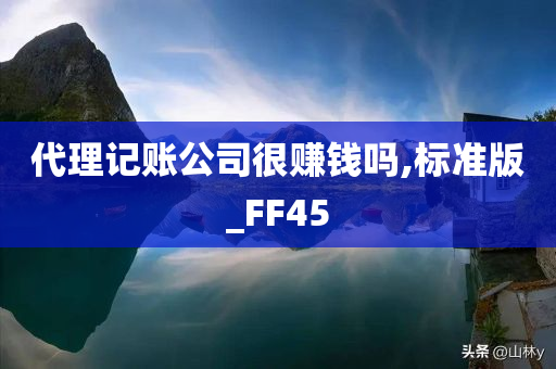 代理记账公司很赚钱吗,标准版_FF45