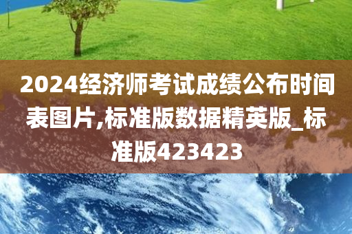 2024经济师考试成绩公布时间表图片,标准版数据精英版_标准版423423