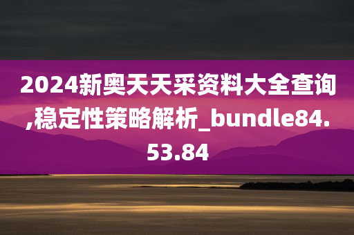 2024新奥天天采资料大全查询,稳定性策略解析_bundle84.53.84