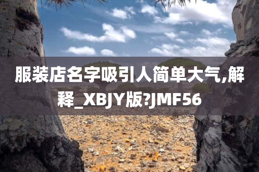 服装店名字吸引人简单大气,解释_XBJY版?JMF56