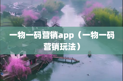 一物一码营销app（一物一码营销玩法）