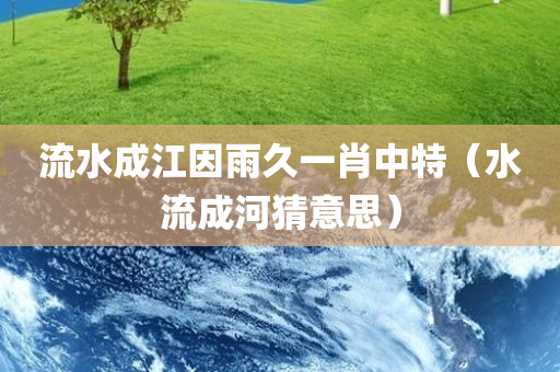 流水成江因雨久一肖中特（水流成河猜意思）