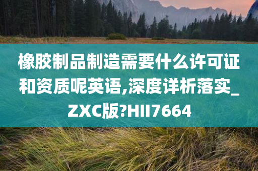 橡胶制品制造需要什么许可证和资质呢英语,深度详析落实_ZXC版?HII7664