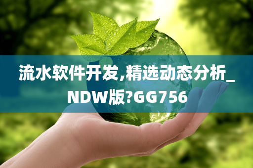 流水软件开发,精选动态分析_NDW版?GG756