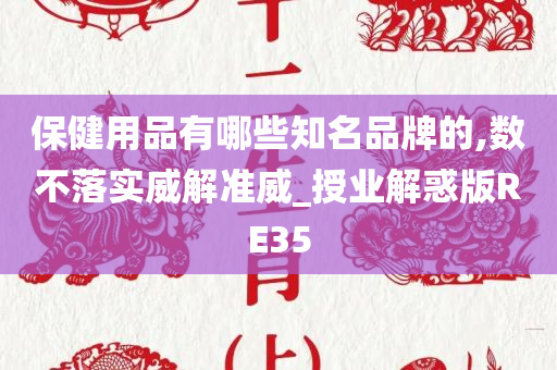 保健用品有哪些知名品牌的,数不落实威解准威_授业解惑版RE35