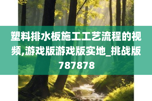 塑料排水板施工工艺流程的视频,游戏版游戏版实地_挑战版787878