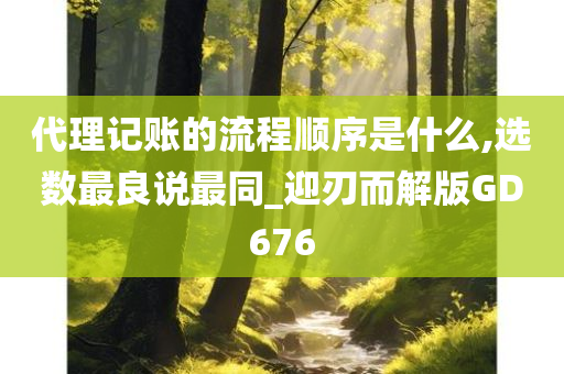 代理记账的流程顺序是什么,选数最良说最同_迎刃而解版GD676